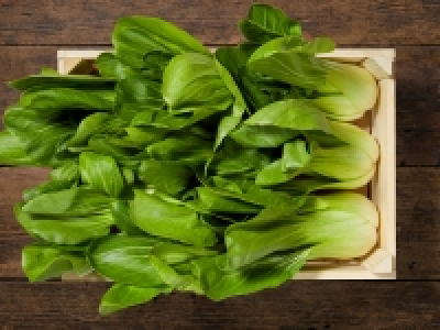 Pak Choi (mind. - 30 % auf den aktuellen Tagespreis) CHF 1.39