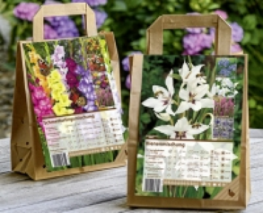 BLUMENZWIEBELN CHF 3.99