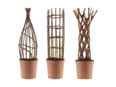Geflochtene Salix Weide CHF 12.99