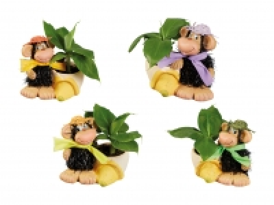 Lidl  Bananenpflanze in Affenkeramik