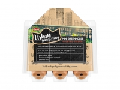 Mini Treibhaus Tomate CHF 4.99