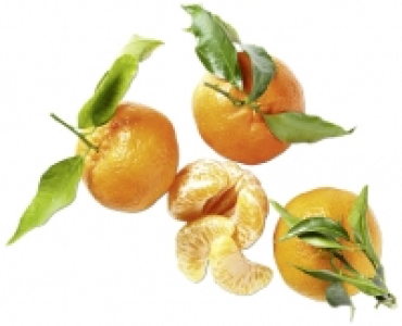 PREMIUM BLATTCLEMENTINEN CHF 2.99