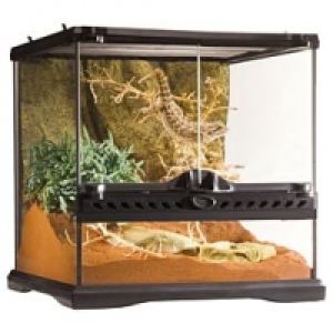 Qualipet  Exo Terra Glas Terrarium