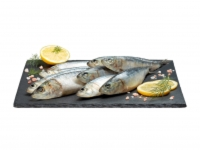 Sardinen CHF 4.99