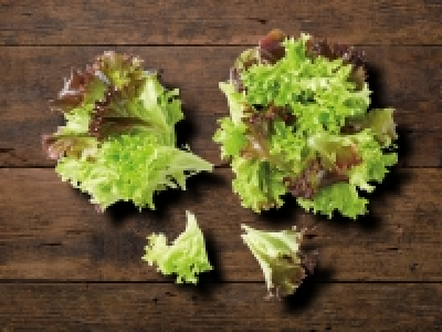 Multicolorsalat (zum tagesaktuellen Lidl-Preis)