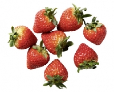 GOURMET ERDBEEREN CHF 1.99