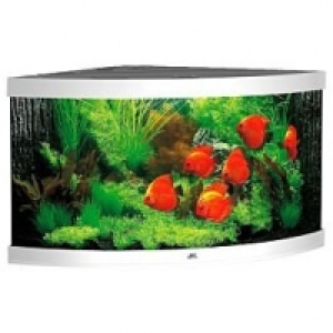 Juwel Aquarium Trigon 350 123x87x65cm weiss CHF 1,359.00