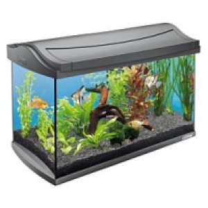 Qualipet  Tetra AquaArt LED Discover Line 60l anthrazit