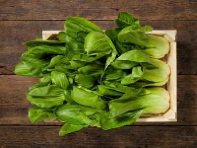 Pak Choi (mind. - 30 % auf den aktuellen Tagespreis) CHF 2.99