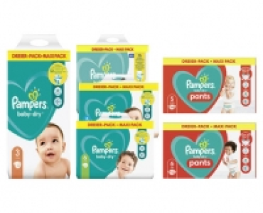 PAMPERS® BABY DRY WINDELN/ PANTS MAXI PACK