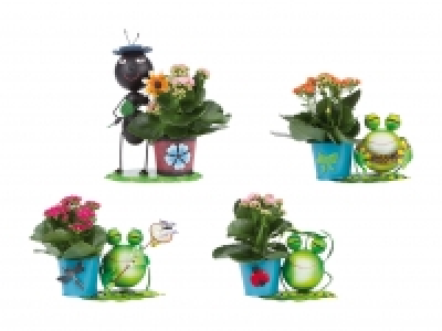 Zinkfiguren mit Kalanchoe