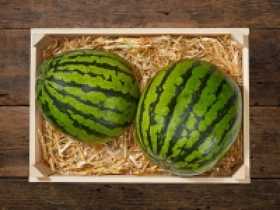 Baby Wassermelonen CHF 0.99