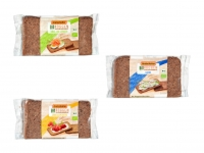 Bio Roggen Vollkornbrote