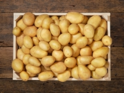 Bio Kartoffeln