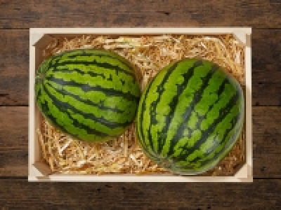 Bio Baby Wassermelone CHF 2.49