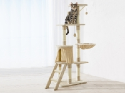 Lidl  Katzenbaum