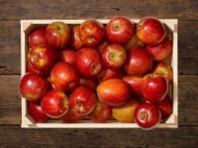 Rote Äpfel CHF 1.99