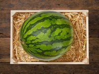 Lidl  Wassermelonen