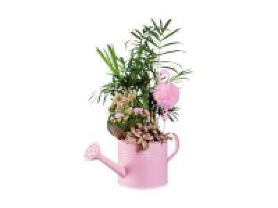Bepflanzte Giesskanne «Flamingo» CHF 6.99