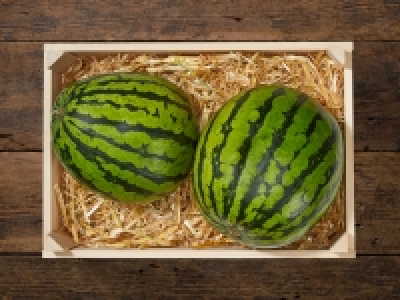 BIO Baby Wassermelone