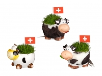 Sagina in Kuhdesign zum 1. August CHF 4.99