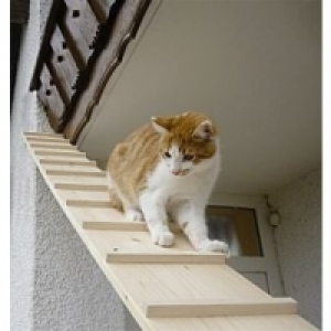 Elmato Katzentreppe 1 Meter CHF 36.80