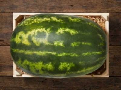 Wassermelone Dumara XXL CHF 0.49