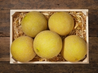 Galiamelone CHF 1.49