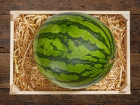 Lidl  Wassermelone