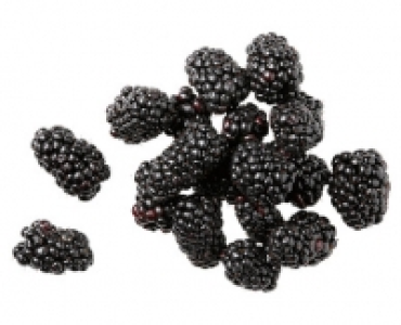 SCHWEIZER BROMBEEREN