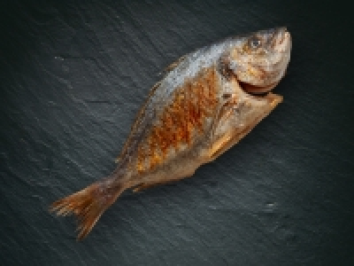 ASC Dorade Royal CHF 1.99