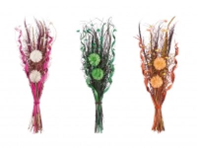 Lidl  Trockenblumen