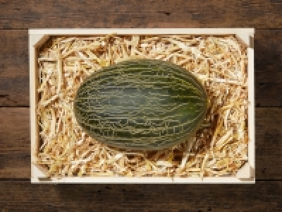 Melone Piel de Sapo (mind. - 30 % auf den aktuellen Tagespreis) CHF 3.49
