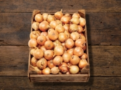 Bio Zwiebeln CHF 1.59