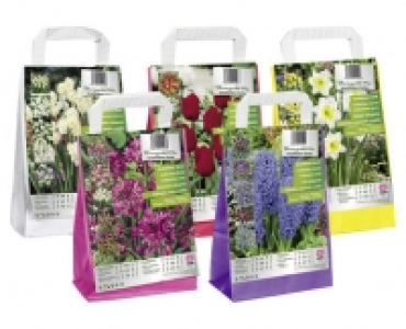 Aldi Suisse  BLUMENZWIEBELN FARBTHEMA