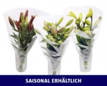 Aldi Suisse  LILIEN