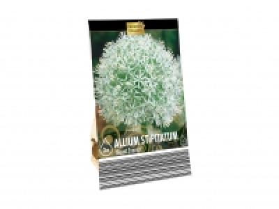 Blumenzwiebeln «Zierlauch» CHF 3.99