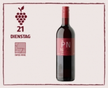 BLAUBURGUNDER VDP