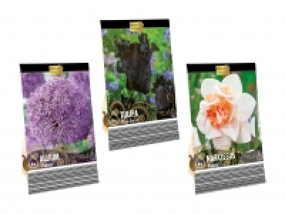 Blumenzwiebeln «Premium» CHF 2.99