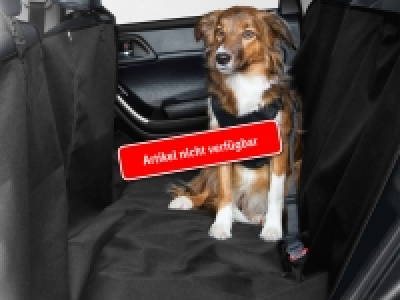 Auto-Schondecke CHF 9.99