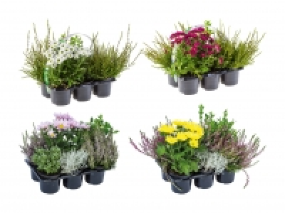 Outdoor-Mix CHF 5.99