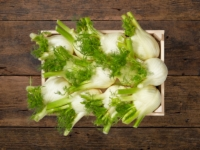 Fenchel (mind. - 30 % auf den aktuellen Tagespreis)