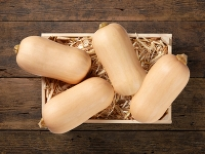 Kürbis Butternuss (mind. - 30 % auf den aktuellen Tagespreis) CHF 8.90