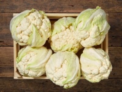 Blumenkohl