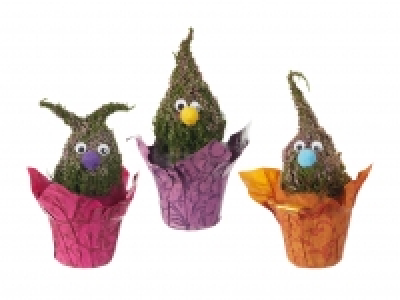 Calluna-Wichtel