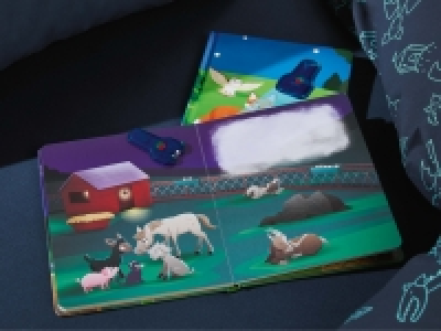 Lidl  Bilderbuch mit UV-Taschenlampe (nur in der Deutschschweiz)