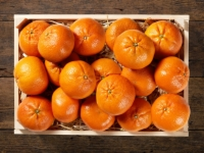 Mandarinen CHF 1.49