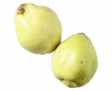 QUITTEN