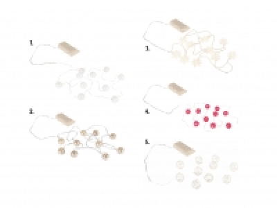 LED-Lichtdekoration CHF 6.99