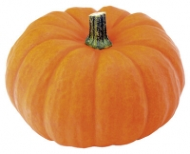 HALLOWEEN KÜRBIS